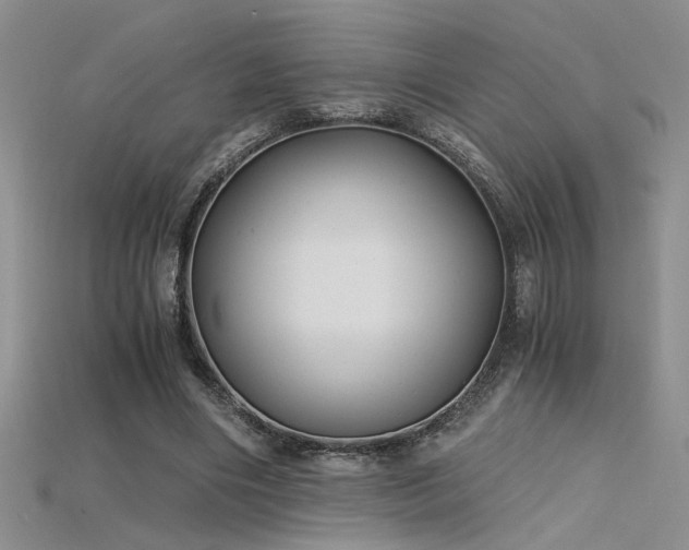 X0000115680490200911121249