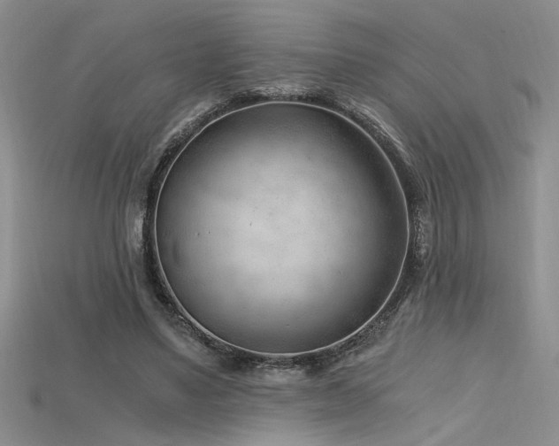 X0000115680491200911121249