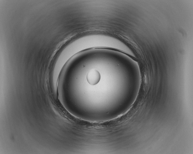 X0000115680492200911121249