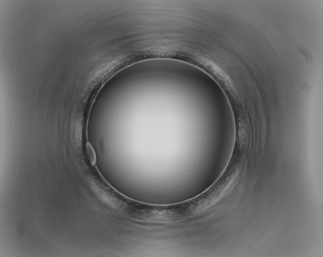 X0000115680493200911121249