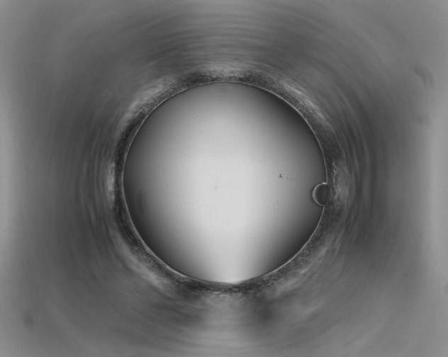 X0000115680494200911121249