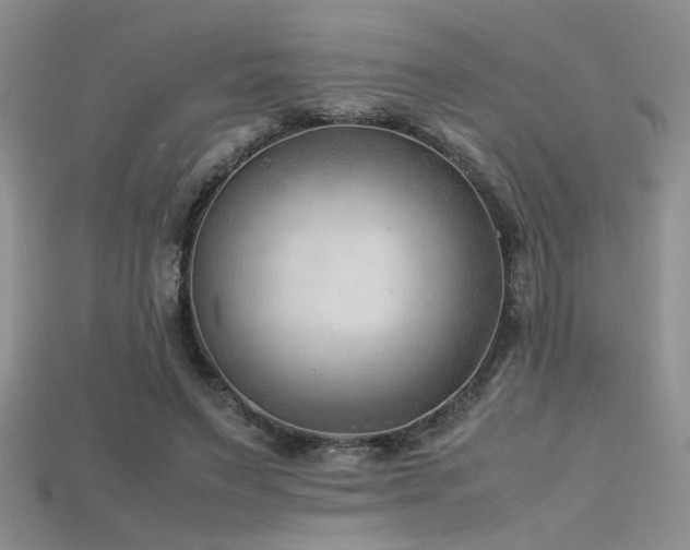 X0000115680495200911121249