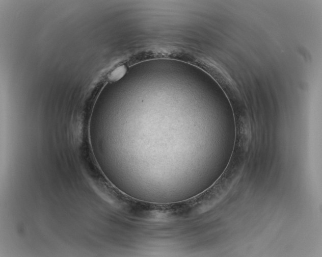 X0000115680496200911121249