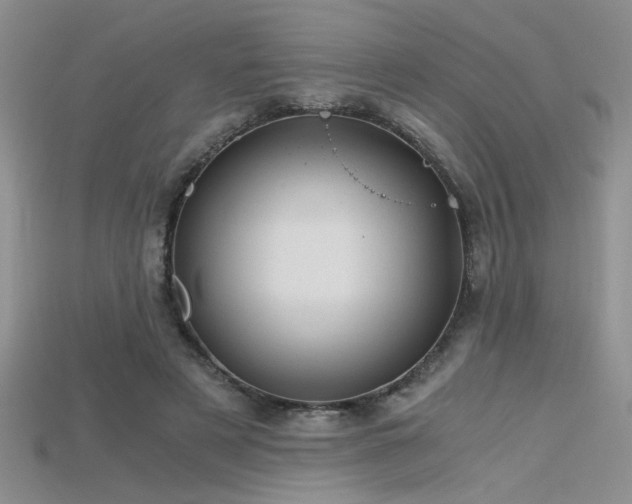 X0000115680497200911121249