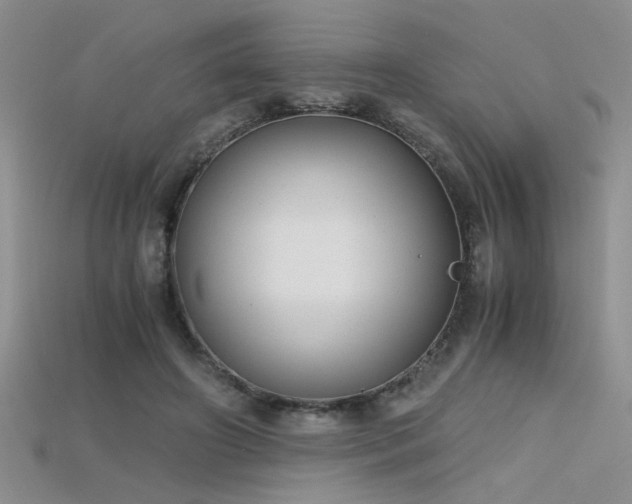 X0000115680498200911121249