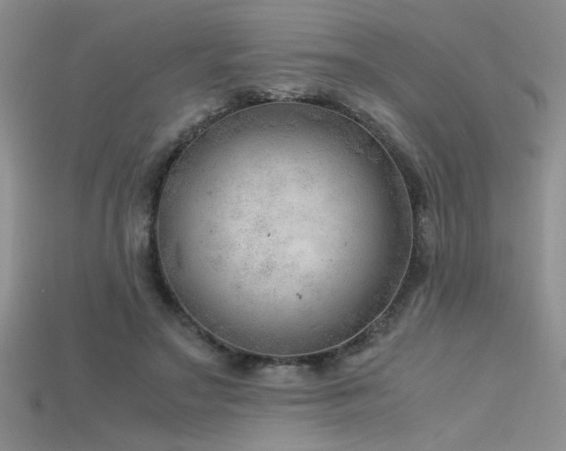 X0000115680499200911121249