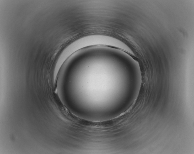 X0000115680500200911121249