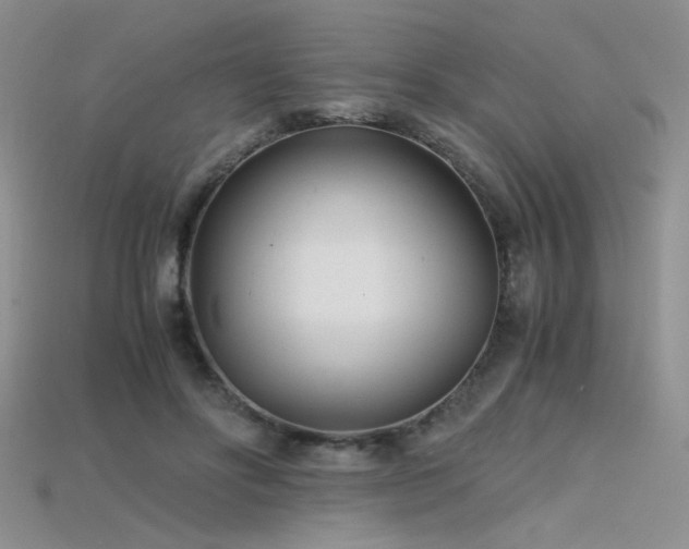 X0000115680502200911121249