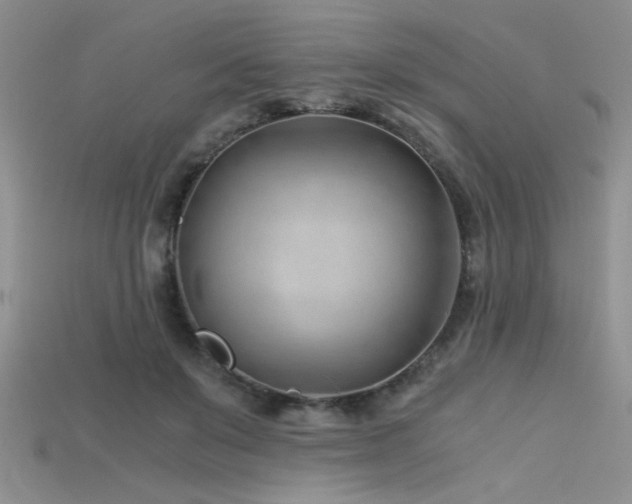 X0000115680503200911121249