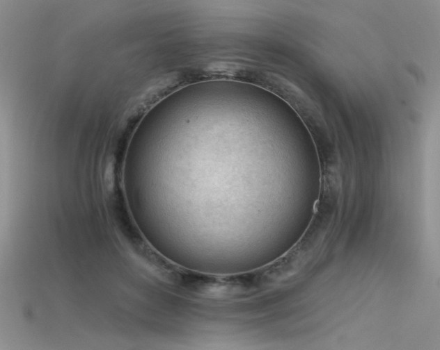 X0000115680504200911121249