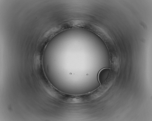 X0000115680506200911121249