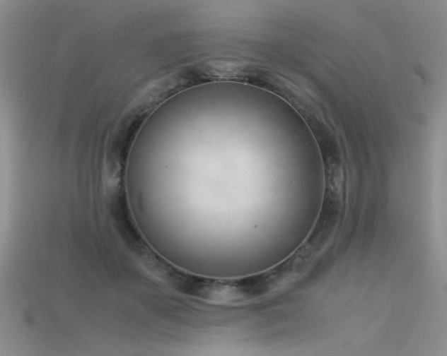 X0000115680507200911121249