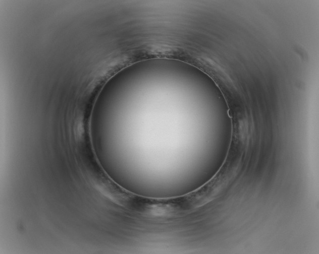 X0000115680508200911121249