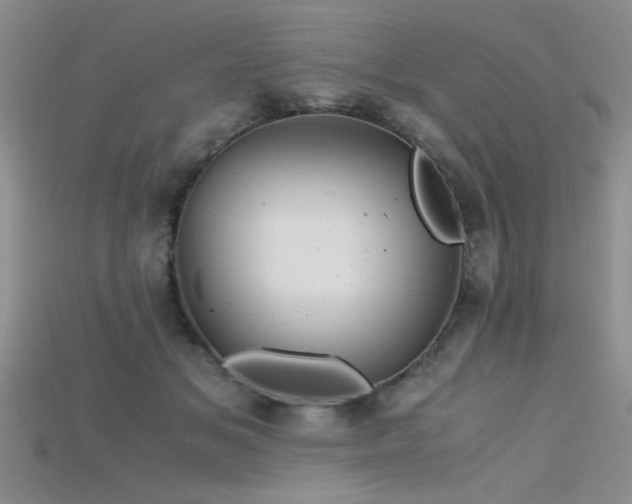 X0000115680509200911121249