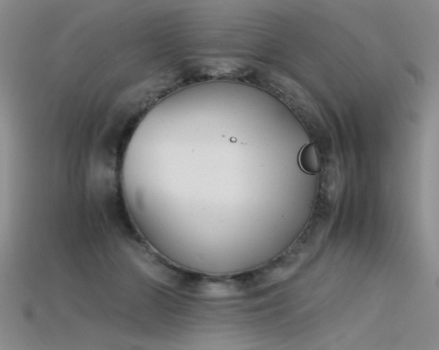 X0000115680510200911121249