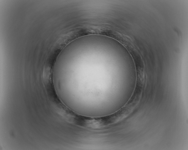 X0000115680511200911121249