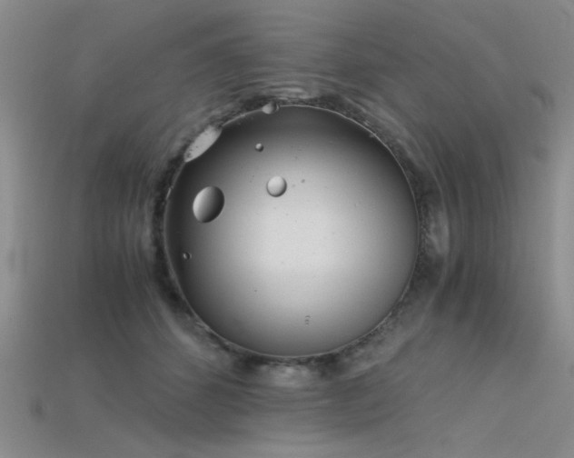 X0000115680512200911121249