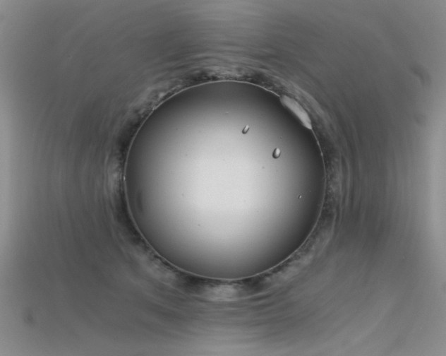 X0000115680513200911121249