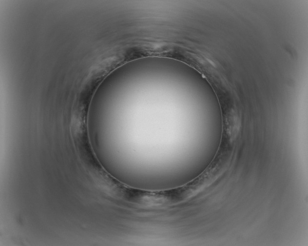 X0000115680515200911121249