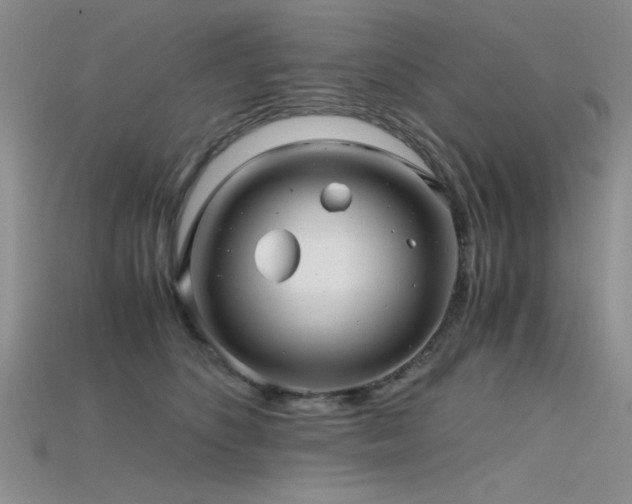 X0000115680516200911121249