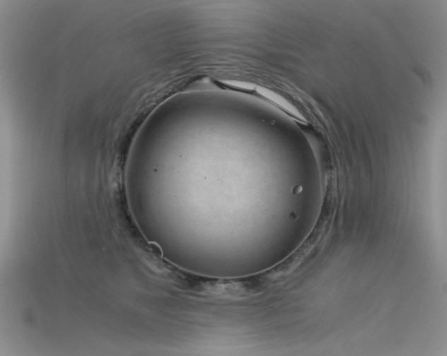 X0000115680517200911121249