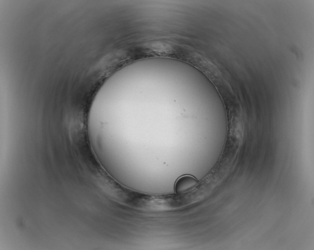 X0000115680518200911121249