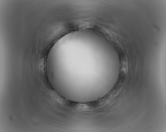 X0000115680519200911121249