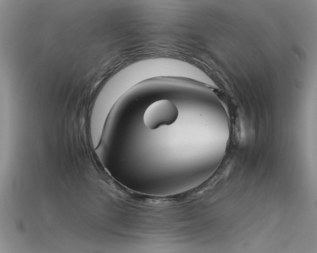 X0000115680520200911121249