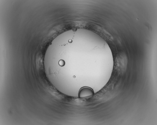 X0000115680522200911121249