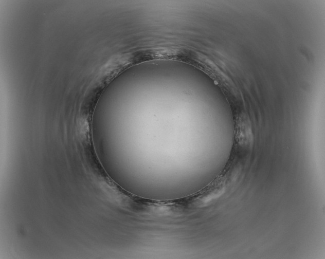 X0000115680523200911121249