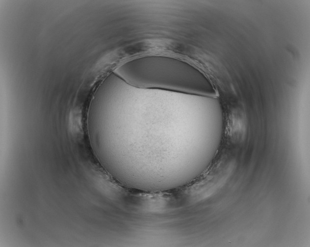 X0000115680524200911121249