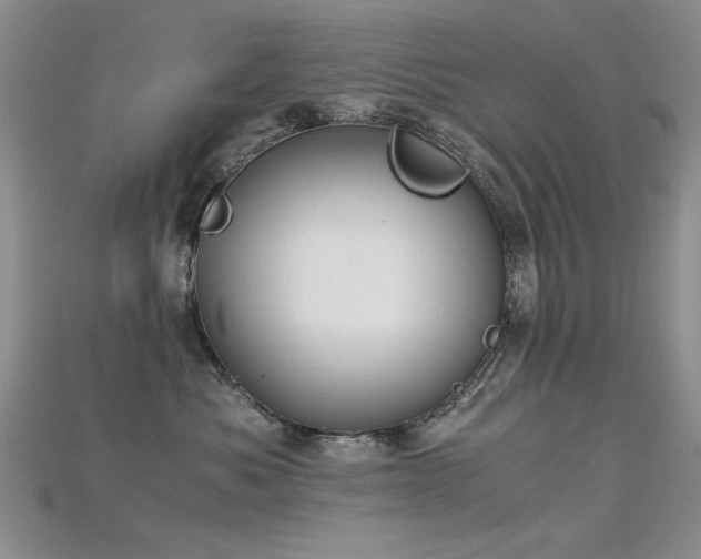 X0000115680525200911121249