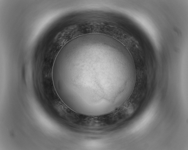 X0000115680526200911121249