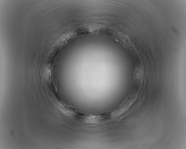 X0000115680527200911121249