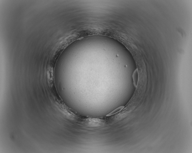 X0000115680528200911121249