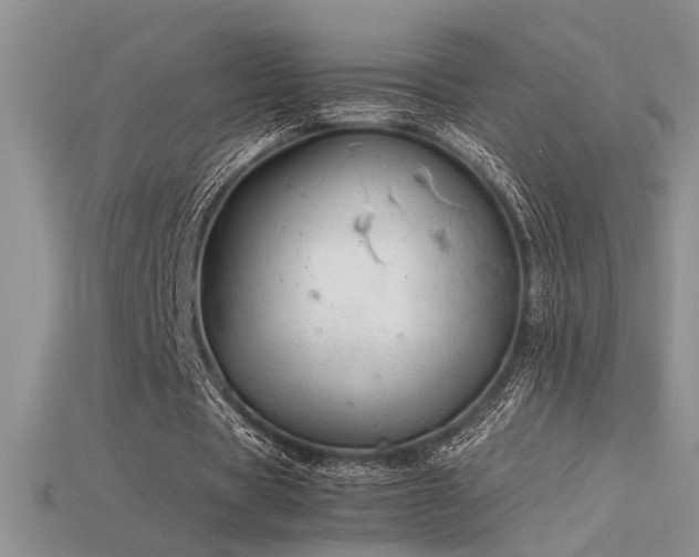 X0000115680529200911121248