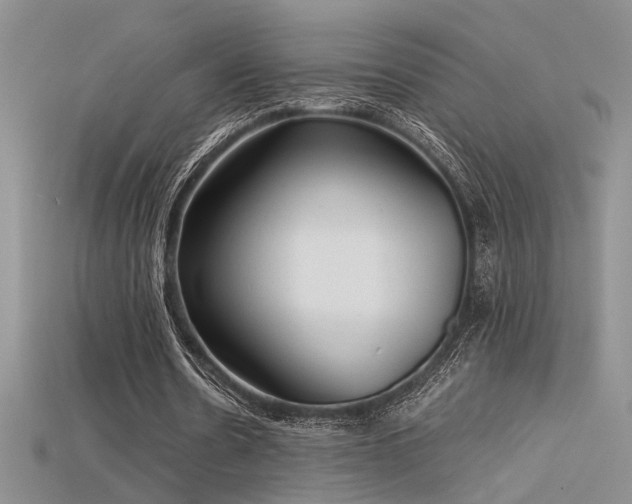 X0000115680530200911121248