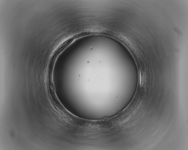 X0000115680531200911121248