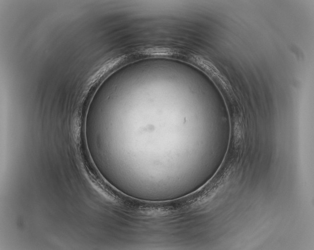 X0000115680533200911121248