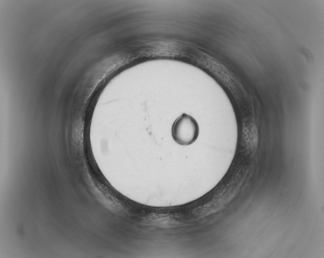 X0000115680534200911121248