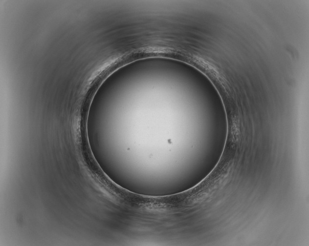 X0000115680535200911121248