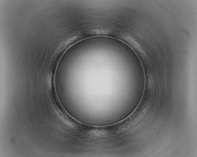 X0000115680537200911121248