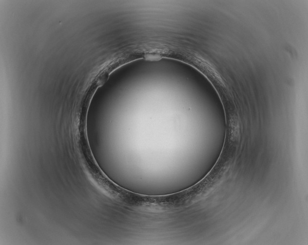 X0000115680538200911121248