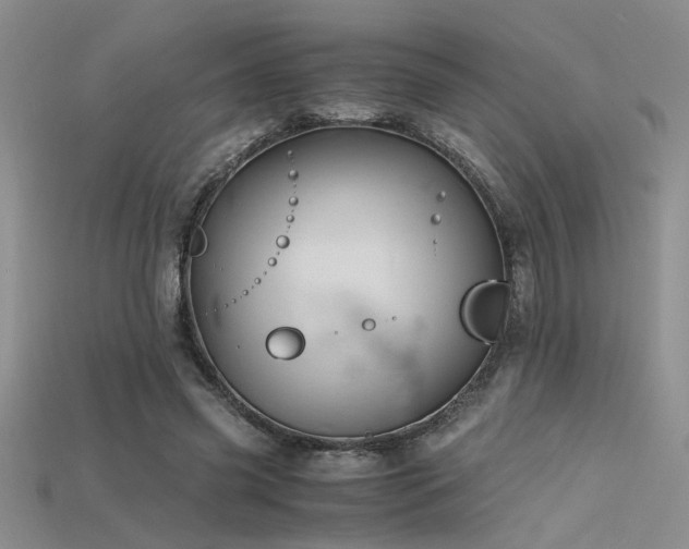 X0000115680541200911121248