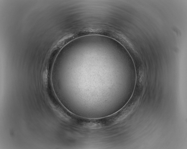 X0000115680542200911121248