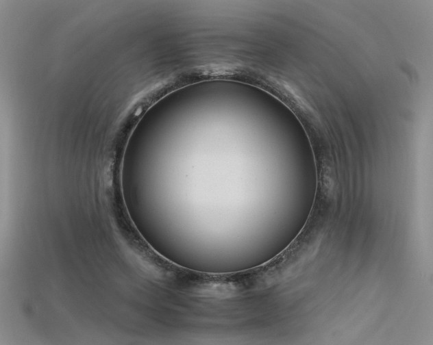 X0000115680543200911121248