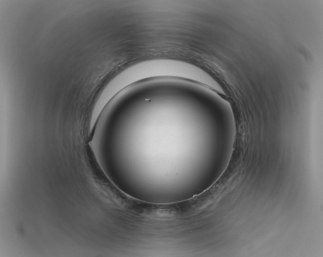 X0000115680546200911121248