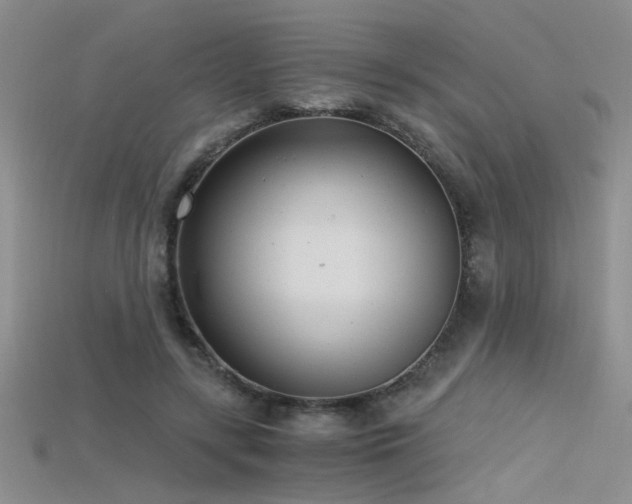 X0000115680547200911121248