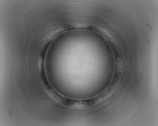 X0000115680550200911121248