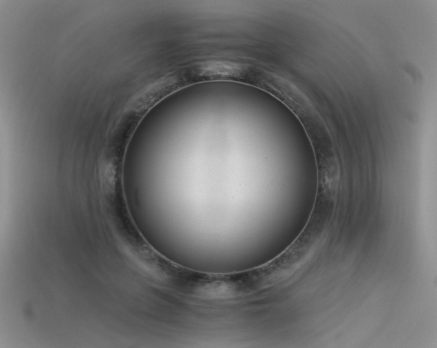 X0000115680551200911121248